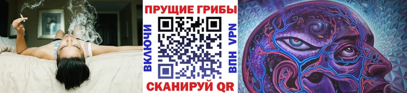 Галлюциногенные грибы прущие грибы  мега ССЫЛКА  Заполярный 